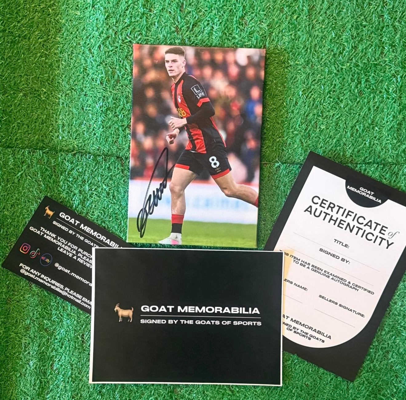 Alex Scott Signed AFC Bournemouth Canvas - Comes with Proof & COA