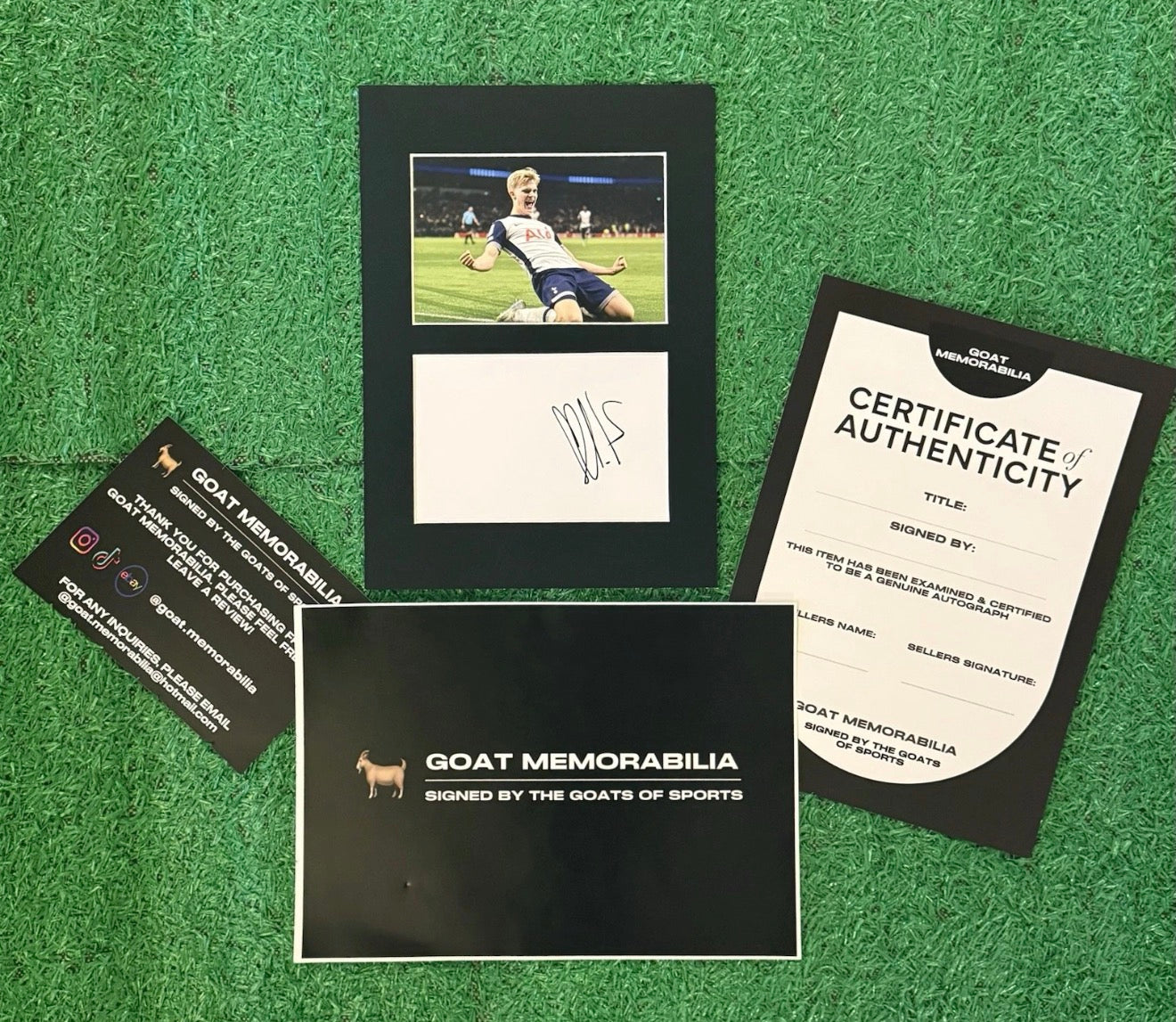 Lucas Bergvall Signed Tottenham Hotspur Mount - Comes with Proof & COA