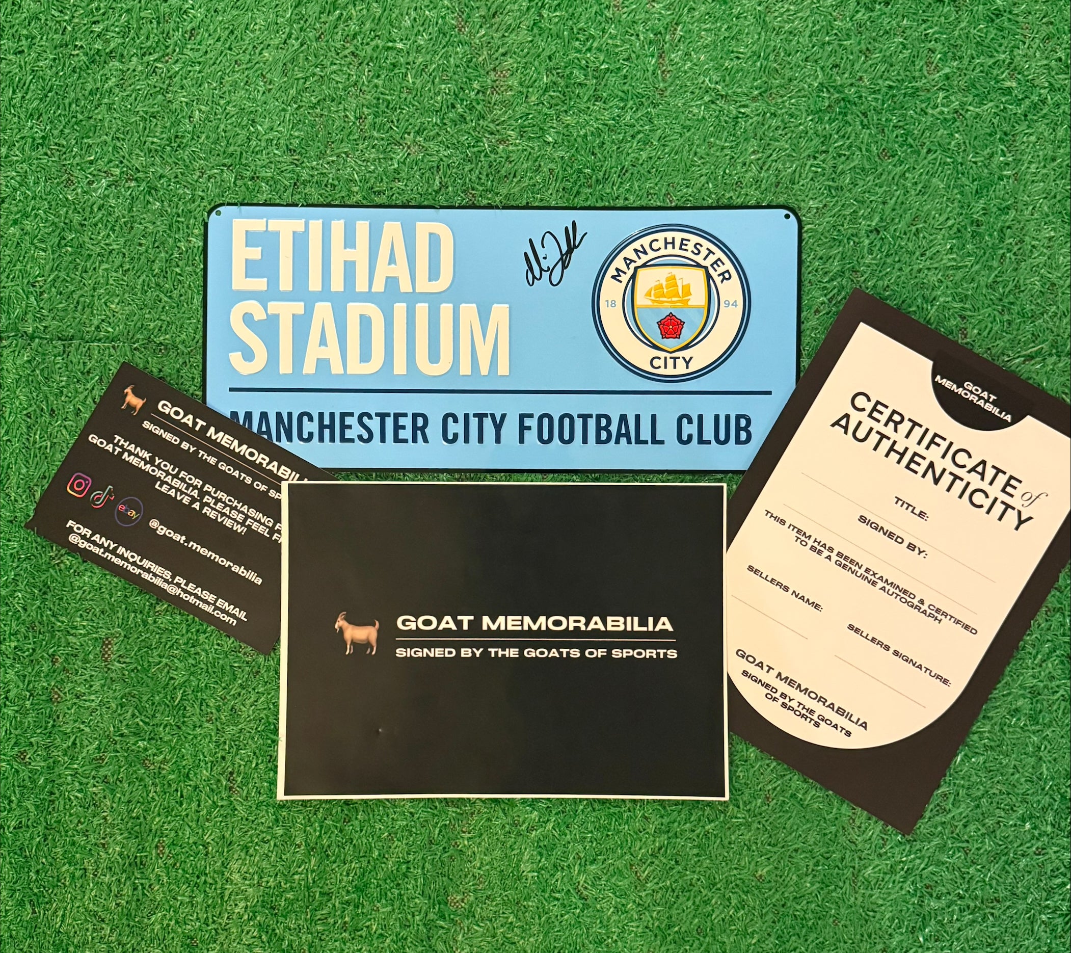 Andree Jeglertz Signed Manchester City Womens Street Sign - Comes with Proof & COA